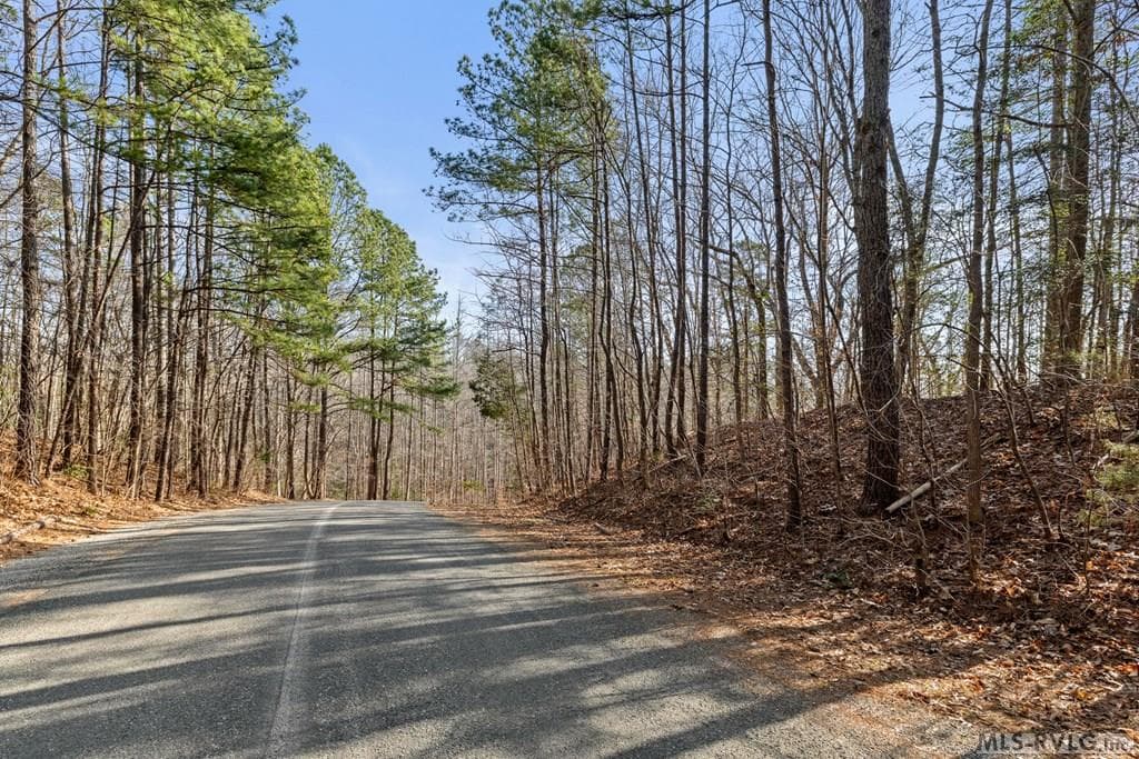 Residential Lot-Restricted,Unimproved Land at LOT 47 Buckhead Drive, Bracey VA 23919, Bracey, photo 25 of 25
