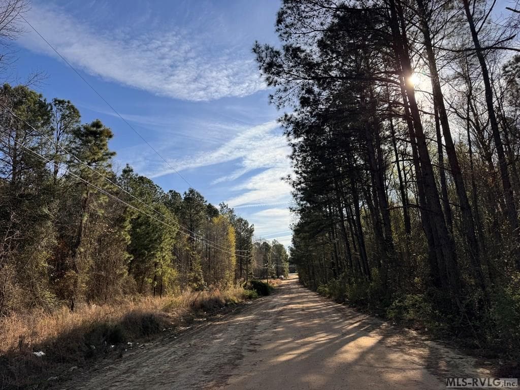 163 Deer Run Rd, Roanoke Rapids NC 27870 photo 3