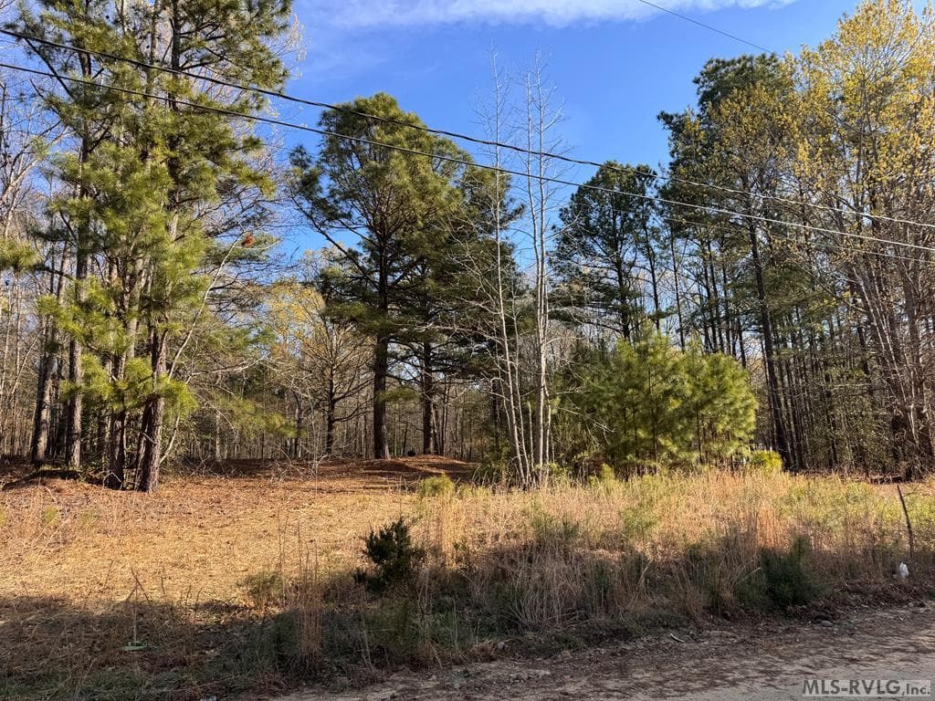 163 Deer Run Rd, Roanoke Rapids NC 27870 photo 5