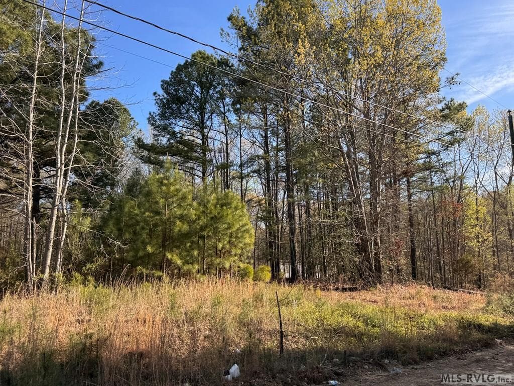 163 Deer Run Rd, Roanoke Rapids NC 27870 photo 4