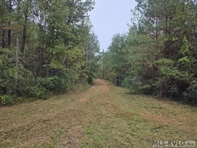 1280 Schloss Rd, Louisburg NC 27549 photo 3