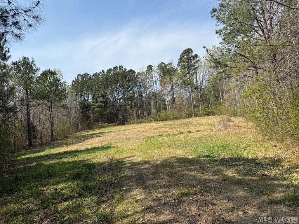 1280 Schloss Rd, Louisburg NC 27549 photo 9