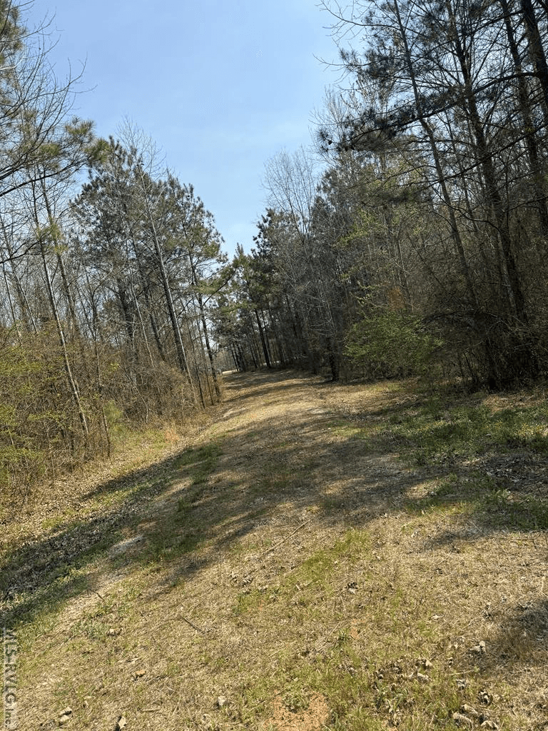 1280 Schloss Rd, Louisburg NC 27549 photo 10