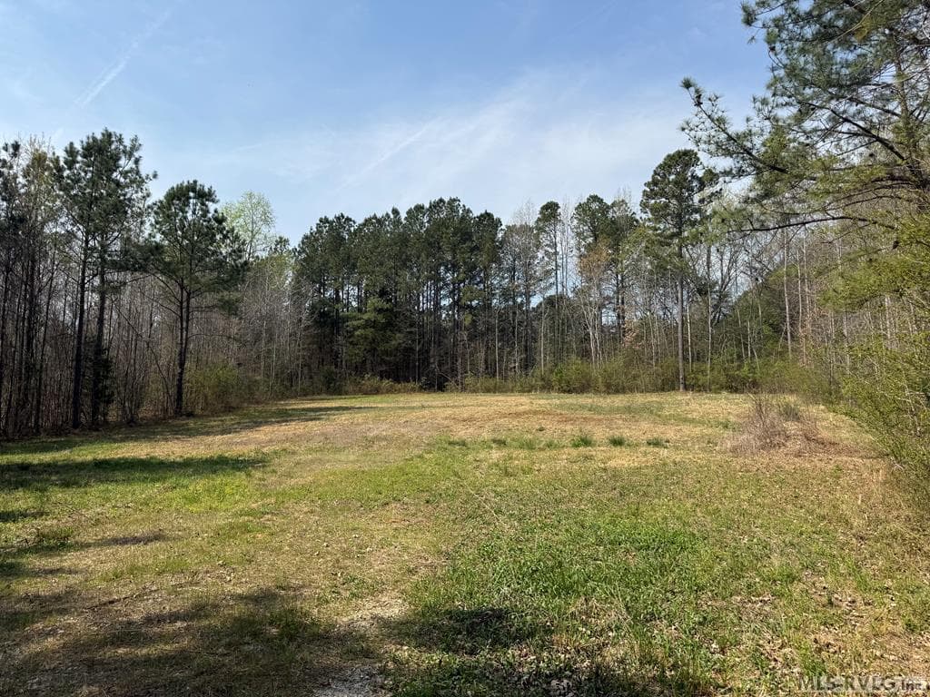 1280 Schloss Rd, Louisburg NC 27549 photo 11
