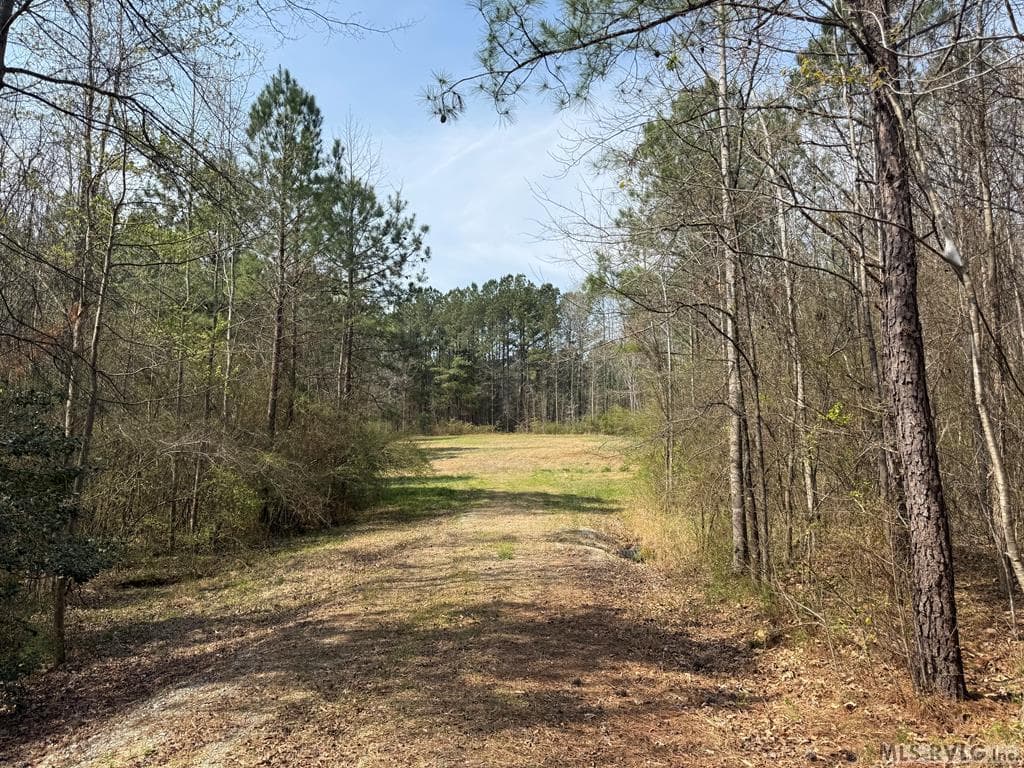 1280 Schloss Rd, Louisburg NC 27549 photo 8