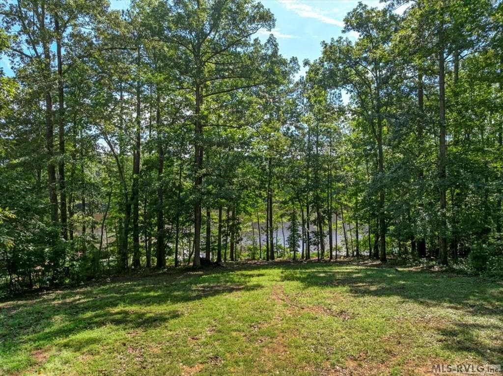 Residential Lot-Restricted,Unimproved Land at Lot 22 Birdsong Rd, Ebony VA 23845, Ebony, photo 2 of 17