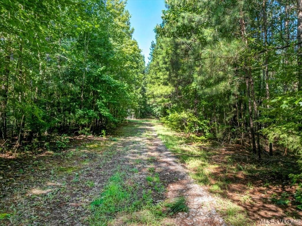 Residential Lot-Restricted,Unimproved Land at Lot 22 Birdsong Rd, Ebony VA 23845, Ebony, photo 17 of 17