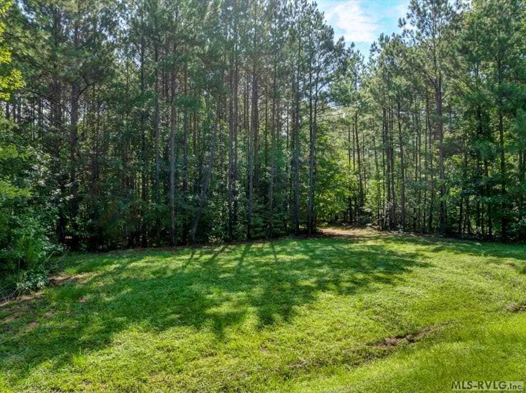 Residential Lot-Restricted,Unimproved Land at Lot 22 Birdsong Rd, Ebony VA 23845, Ebony, photo 16 of 17