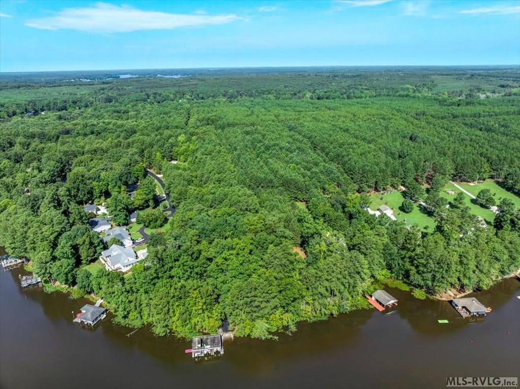Residential Lot-Restricted,Unimproved Land at Lot 22 Birdsong Rd, Ebony VA 23845, Ebony, photo 7 of 17