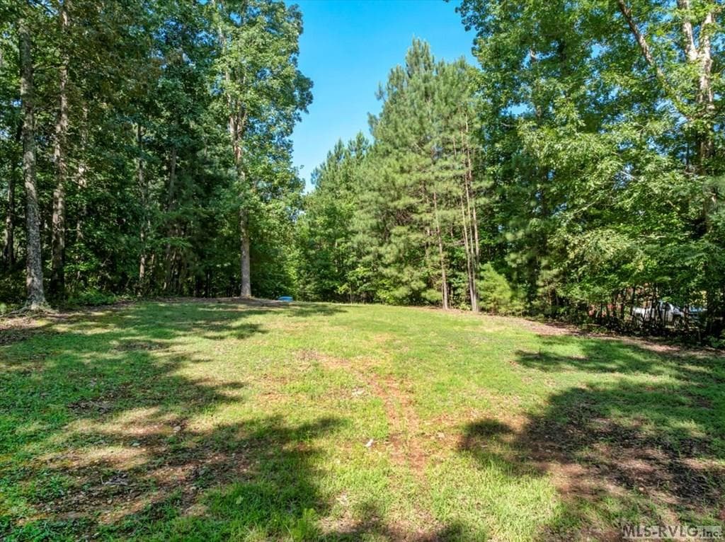 Residential Lot-Restricted,Unimproved Land at Lot 22 Birdsong Rd, Ebony VA 23845, Ebony, photo 3 of 17