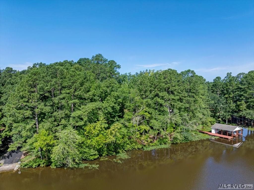 Residential Lot-Restricted,Unimproved Land at Lot 22 Birdsong Rd, Ebony VA 23845, Ebony, photo 5 of 17