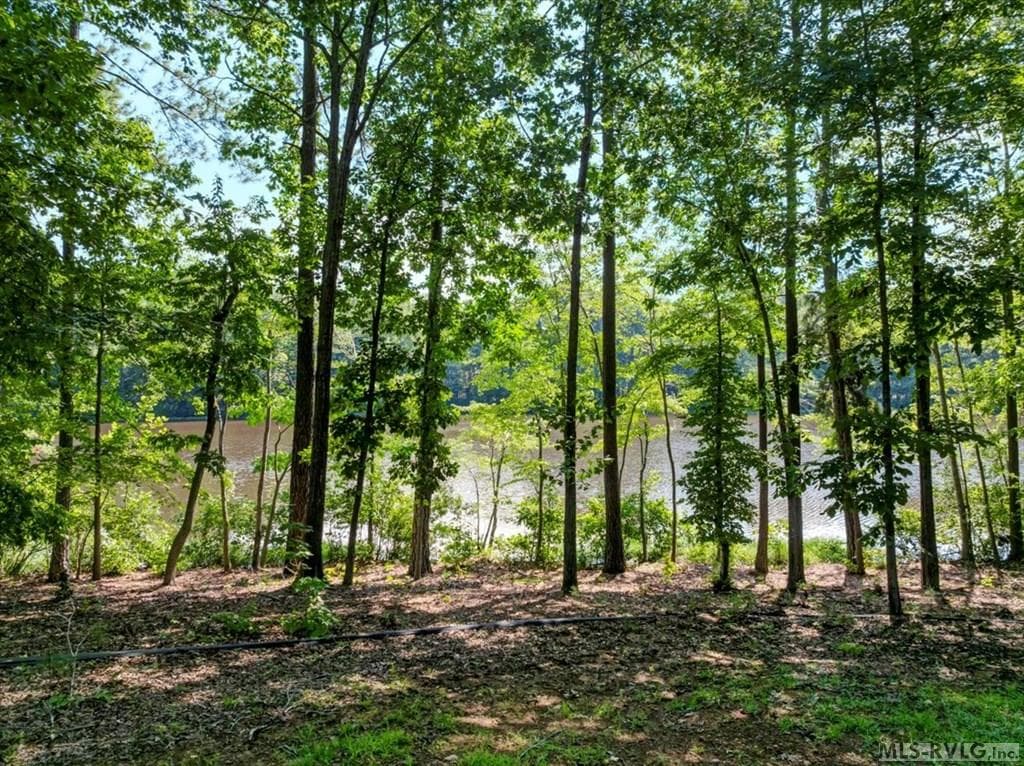 Residential Lot-Restricted,Unimproved Land at Lot 22 Birdsong Rd, Ebony VA 23845, Ebony, photo 9 of 17