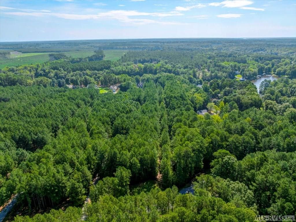 Residential Lot-Restricted,Unimproved Land at Lot 22 Birdsong Rd, Ebony VA 23845, Ebony, photo 10 of 17