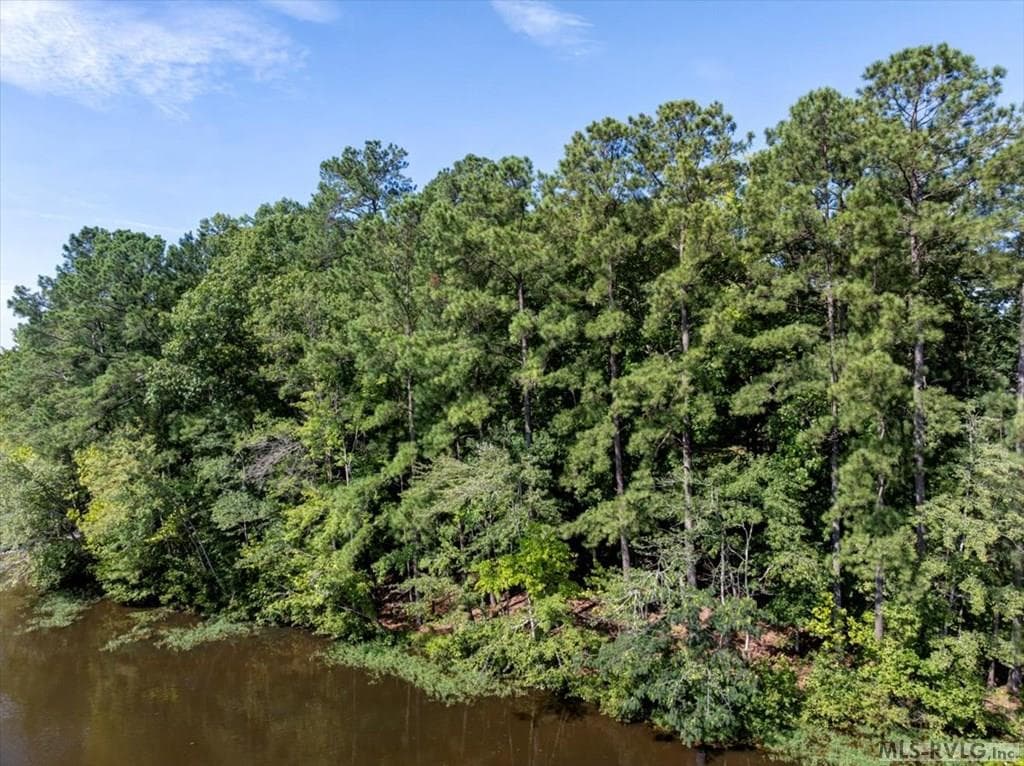 Residential Lot-Restricted,Unimproved Land at Lot 22 Birdsong Rd, Ebony VA 23845, Ebony, photo 14 of 17