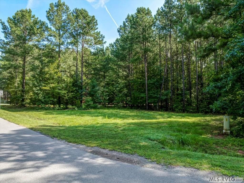 Residential Lot-Restricted,Unimproved Land at Lot 22 Birdsong Rd, Ebony VA 23845, Ebony, photo 15 of 17