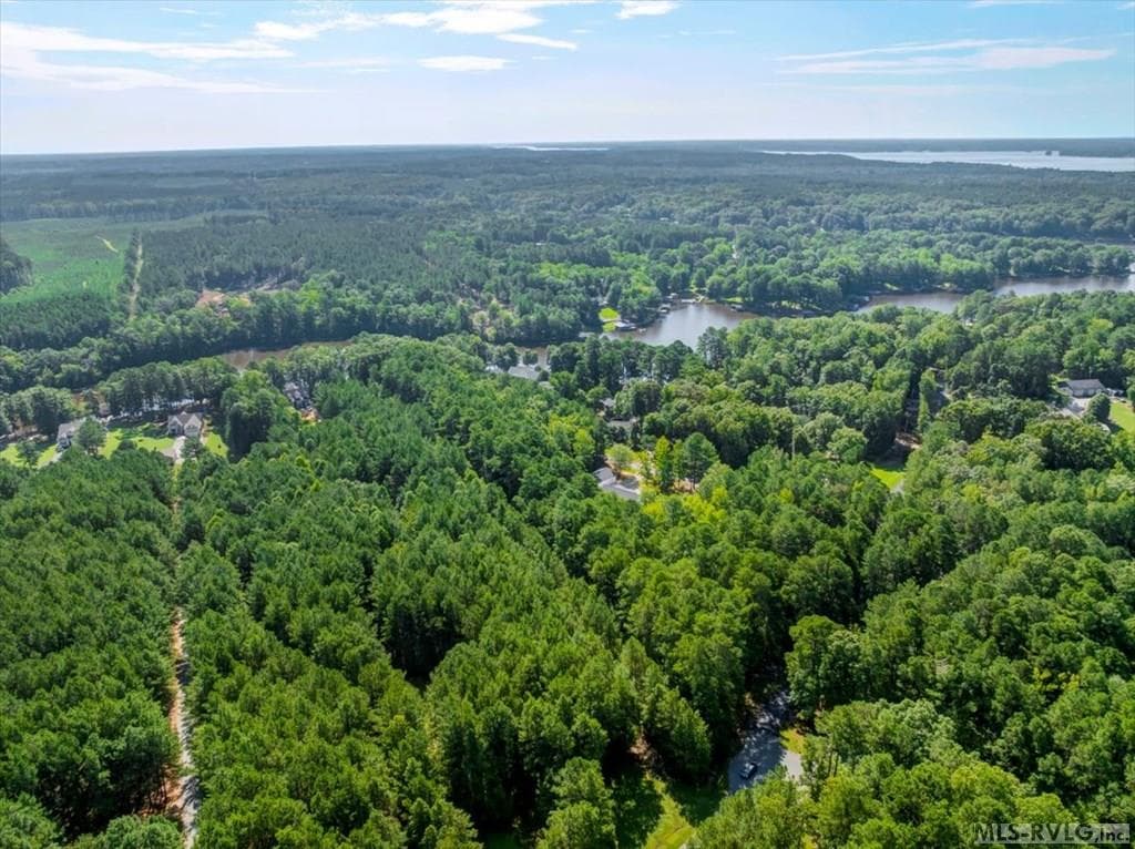 Residential Lot-Restricted,Unimproved Land at Lot 22 Birdsong Rd, Ebony VA 23845, Ebony, photo 11 of 17