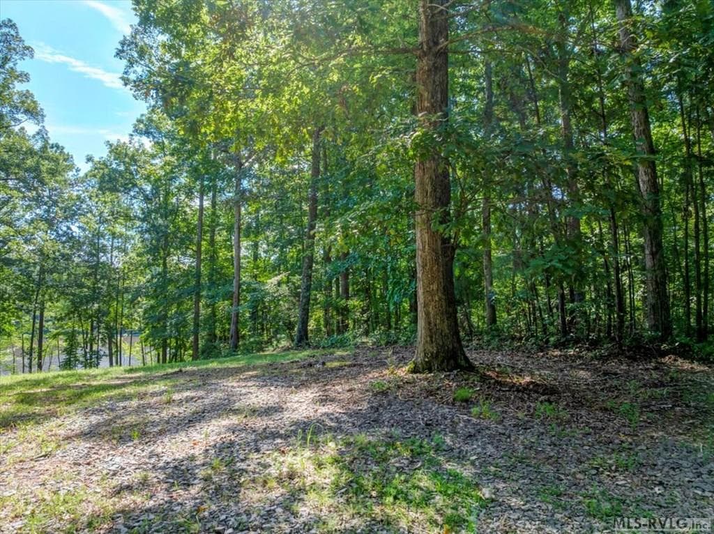 Residential Lot-Restricted,Unimproved Land at Lot 22 Birdsong Rd, Ebony VA 23845, Ebony, photo 4 of 17