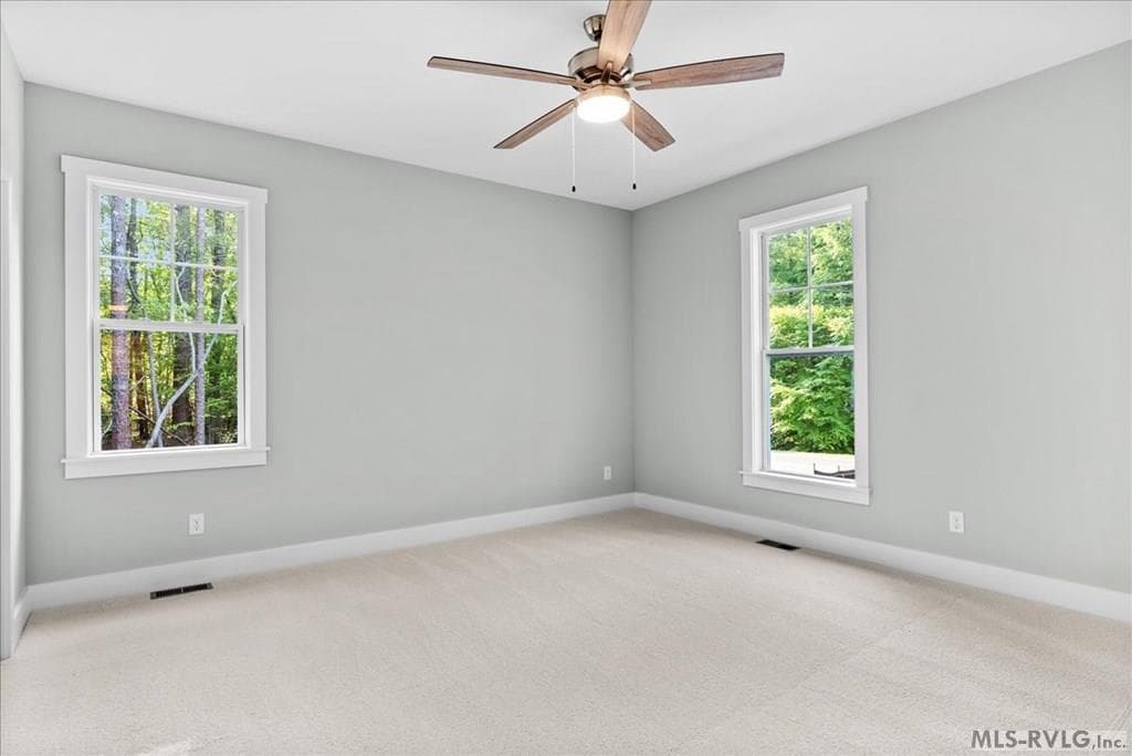 136 Hicks Drive, Bracey VA 23919 photo 25