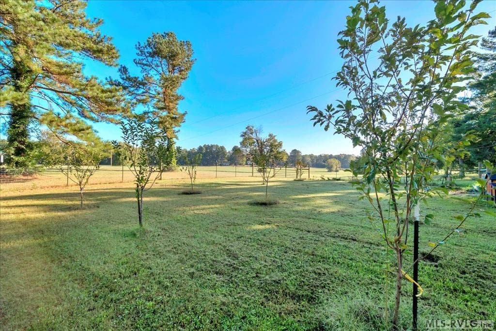 14200 Highway 47, Chase City VA 23924 photo 68