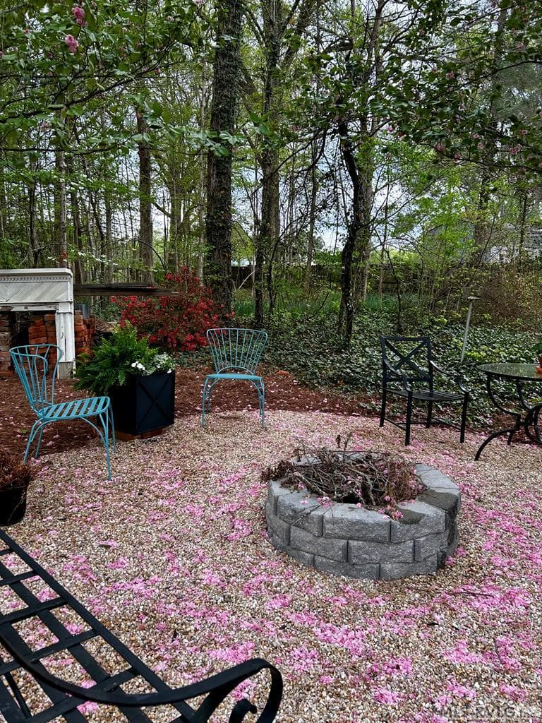 Cherry Tree Blossoms have fallen!