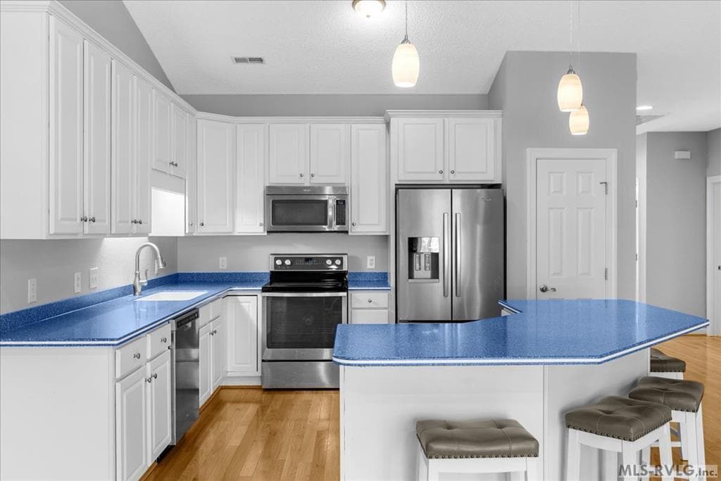 164 Sandy Cove Drive, Henrico NC 27842 photo 28