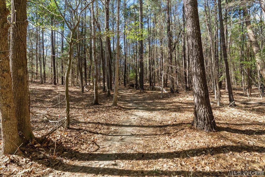 164 Sandy Cove Drive, Henrico NC 27842 photo 49