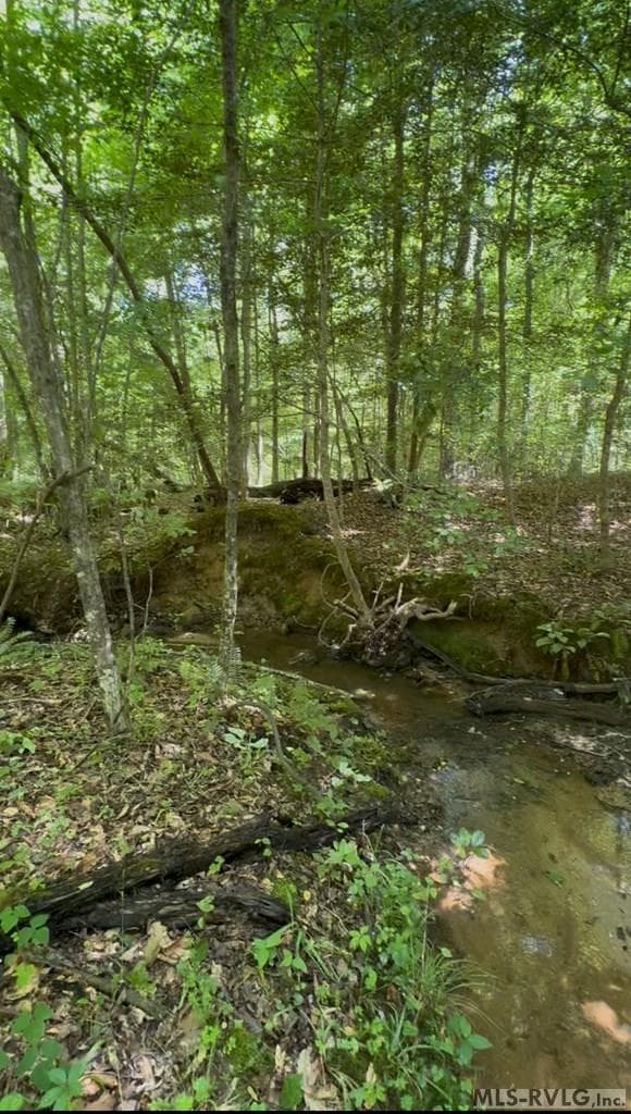 Lot 52 S Holiday Drive, Macon NC 27551 photo 4