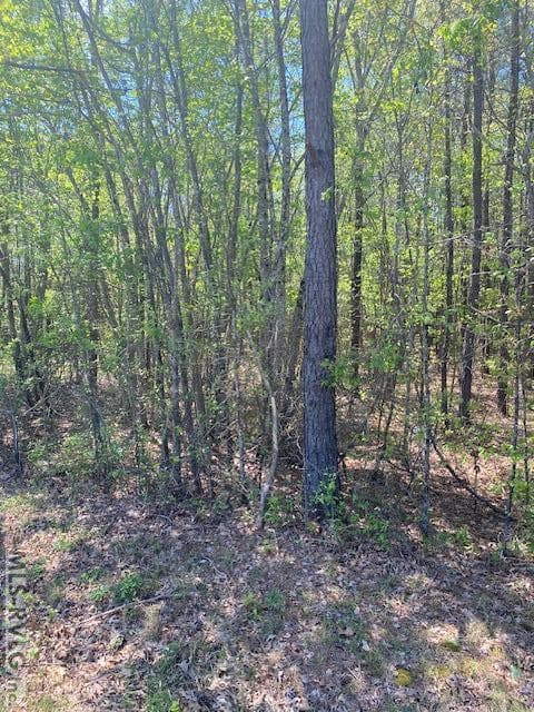 Acreage,Unimproved Land at TBD Tower Rd, Brodnax VA 23920, Brodnax, photo 2 of 6