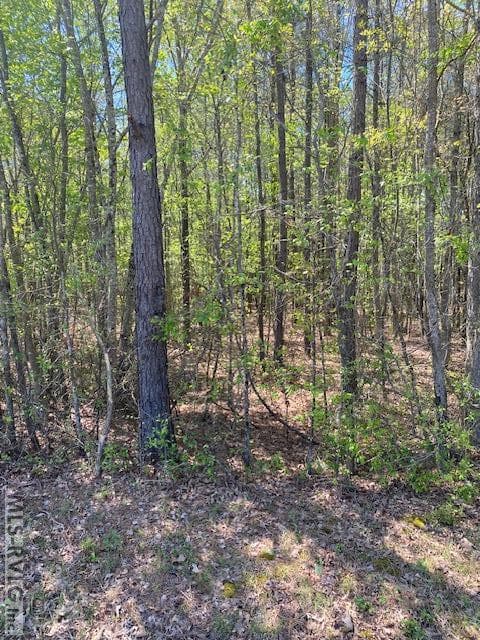 Acreage,Unimproved Land at TBD Tower Rd, Brodnax VA 23920, Brodnax, photo 3 of 6