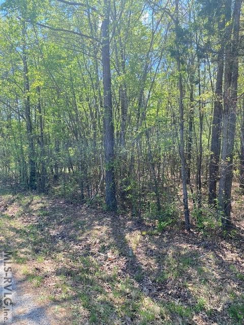 Acreage,Unimproved Land at TBD Tower Rd, Brodnax VA 23920, Brodnax, photo 4 of 6