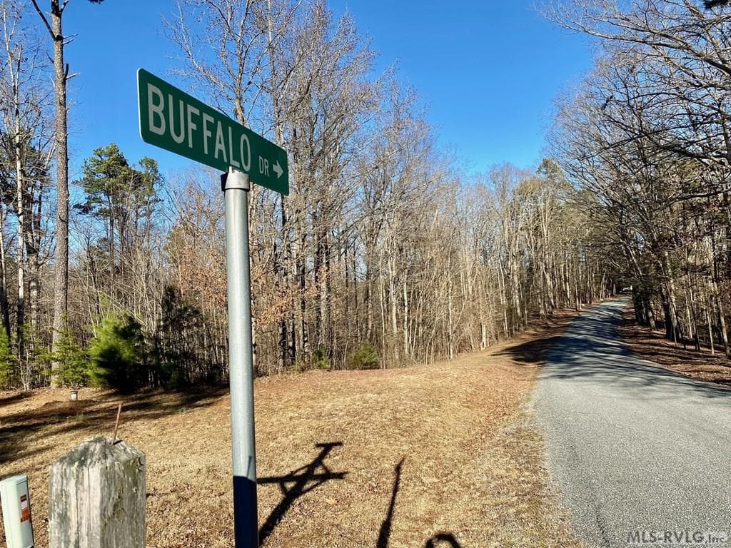 Residential Lot-Restricted,Unimproved Land at Lot 45 Buffalo Drive, Buffalo Junction VA 24529, Buffalo Junction, photo 6 of 21