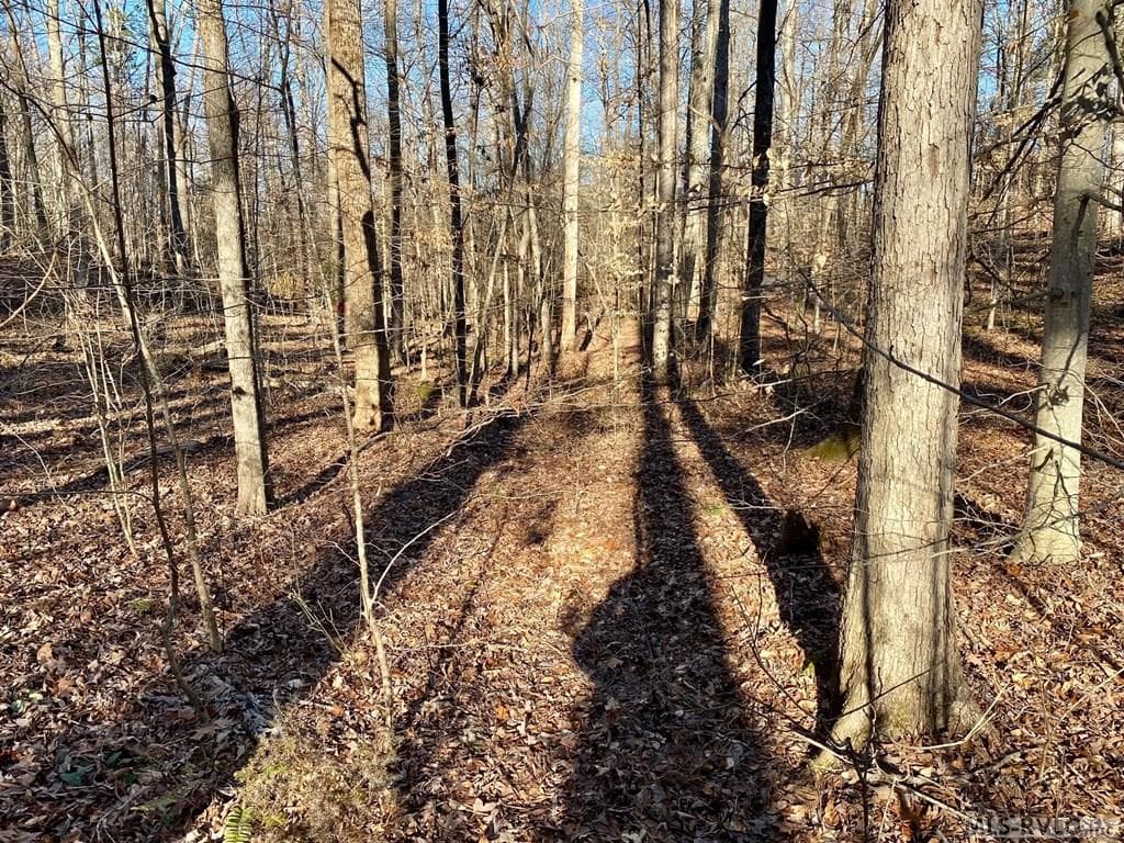 Residential Lot-Restricted,Unimproved Land at Lot 45 Buffalo Drive, Buffalo Junction VA 24529, Buffalo Junction, photo 16 of 21
