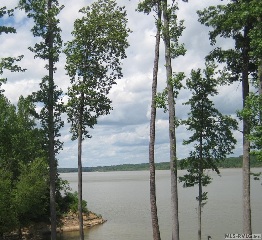 Lot 45 Buffalo Drive, Buffalo Junction VA 24529
