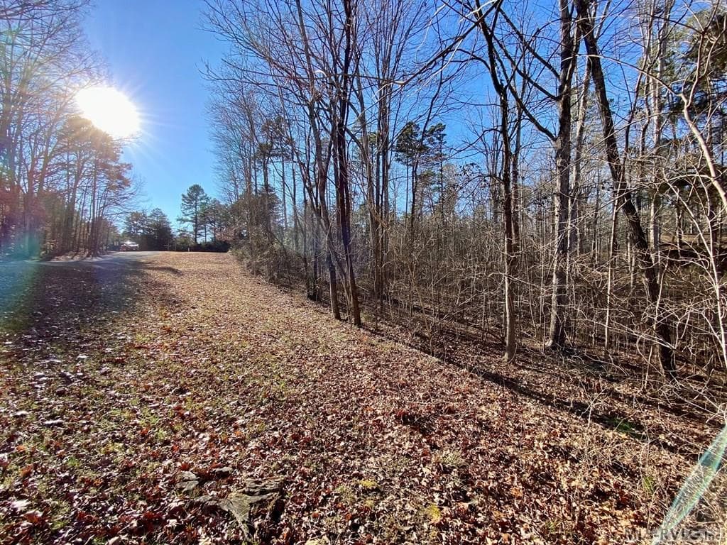 Residential Lot-Restricted,Unimproved Land at Lot 45 Buffalo Drive, Buffalo Junction VA 24529, Buffalo Junction, photo 5 of 21