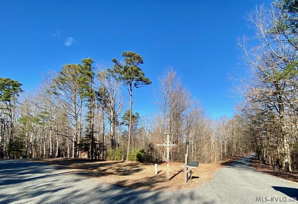 Wide Angle View - Lot 45 Buffalo Drive, Buffalo Junction VA 24529, Buffalo Junction