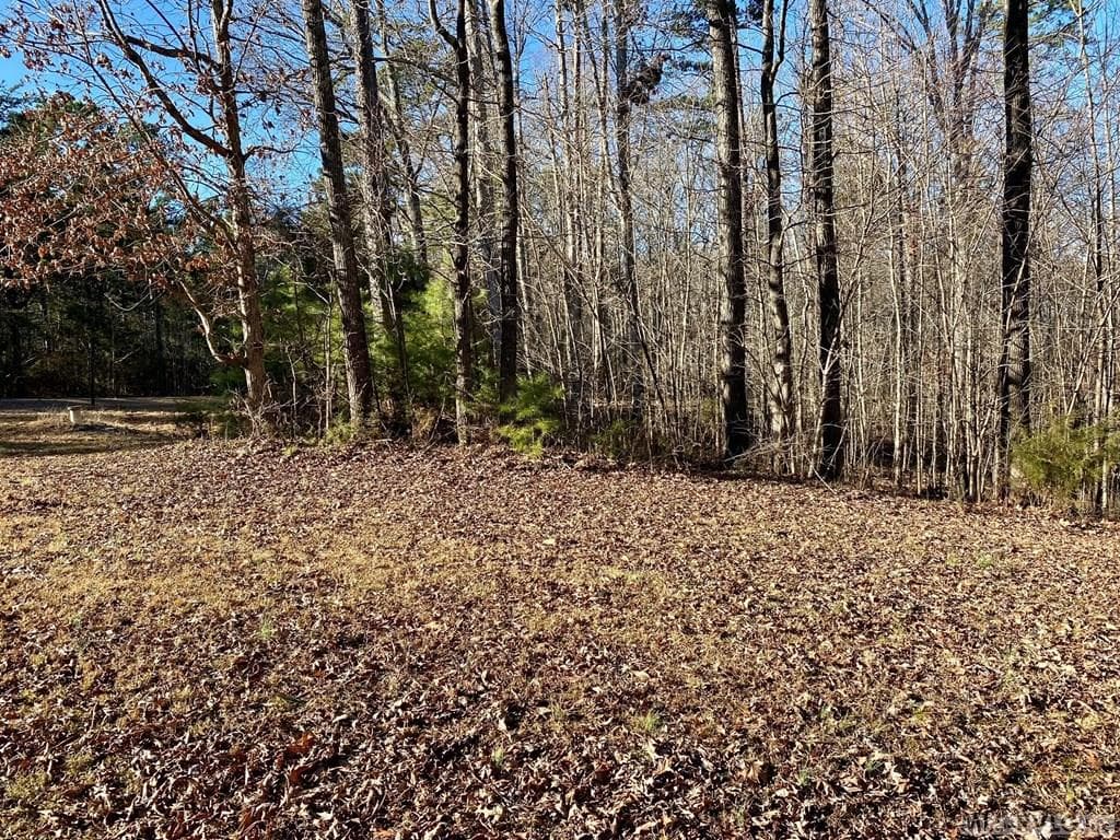 Long road frontage - Lot 45 Buffalo Drive, Buffalo Junction VA 24529, Buffalo Junction