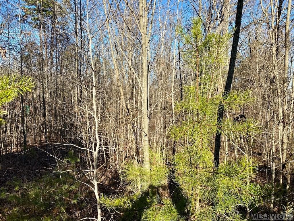 Residential Lot-Restricted,Unimproved Land at Lot 45 Buffalo Drive, Buffalo Junction VA 24529, Buffalo Junction, photo 15 of 21