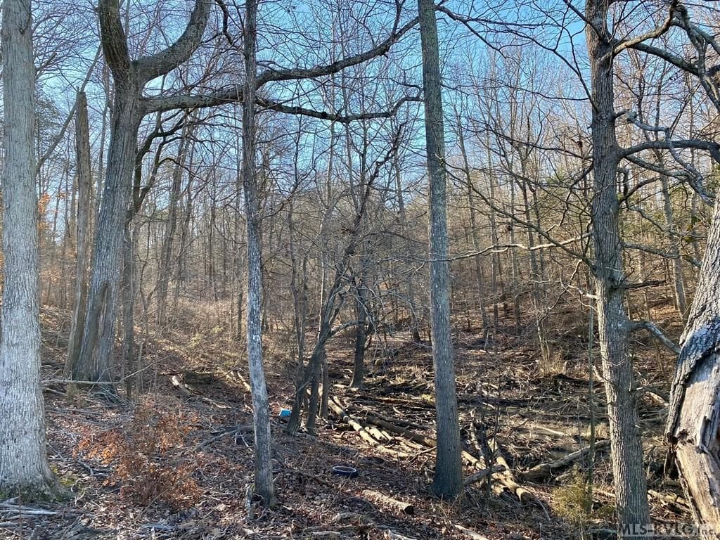 Residential Lot-Restricted,Unimproved Land at Lot 45 Buffalo Drive, Buffalo Junction VA 24529, Buffalo Junction, photo 11 of 21