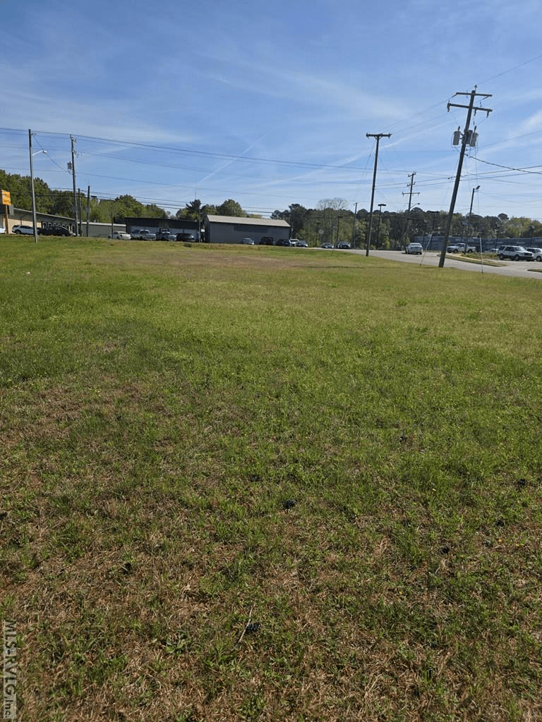 Lot #2 Georgia Ave, Roanoke Rapids NC 27870 photo 3