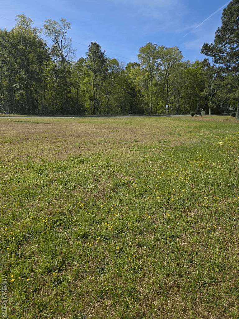 Lot #2 Georgia Ave, Roanoke Rapids NC 27870