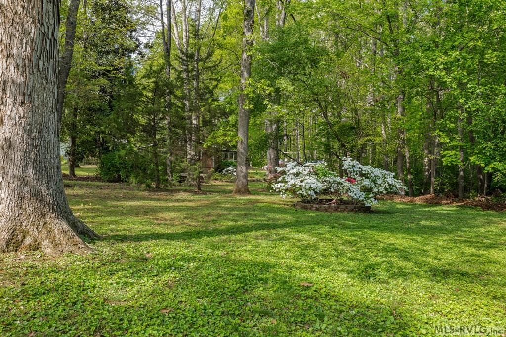 237 Parkway Drive, Littleton NC 27850 photo 49