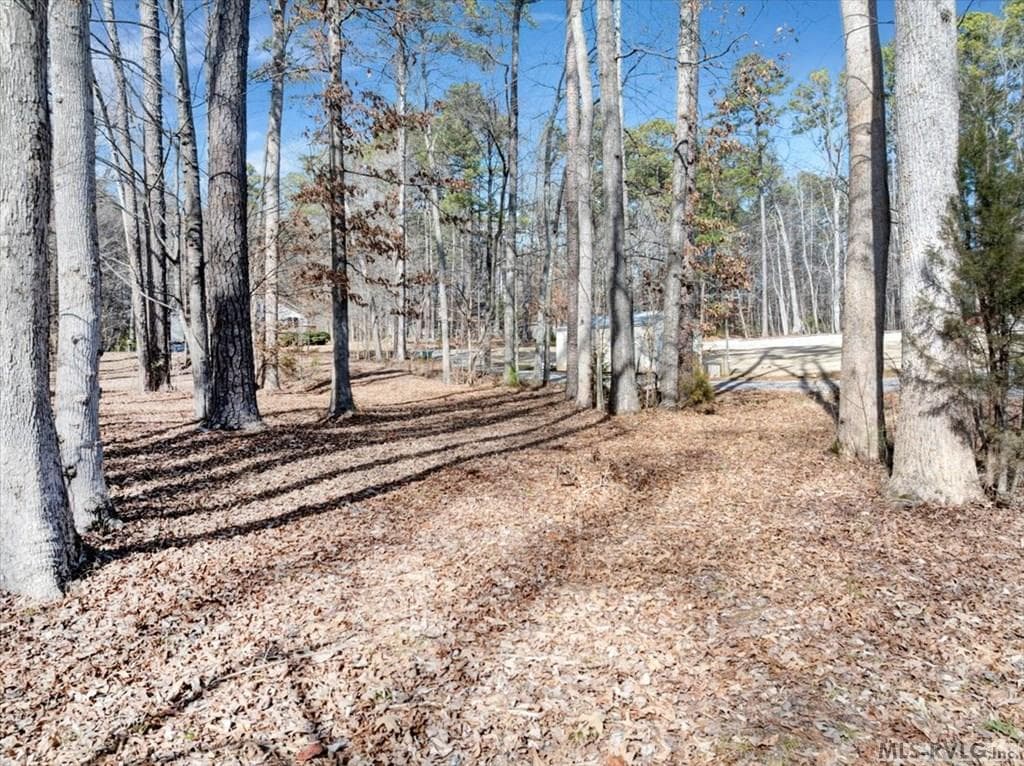 461/462 Greenbriar, Littleton NC 27850 photo 3