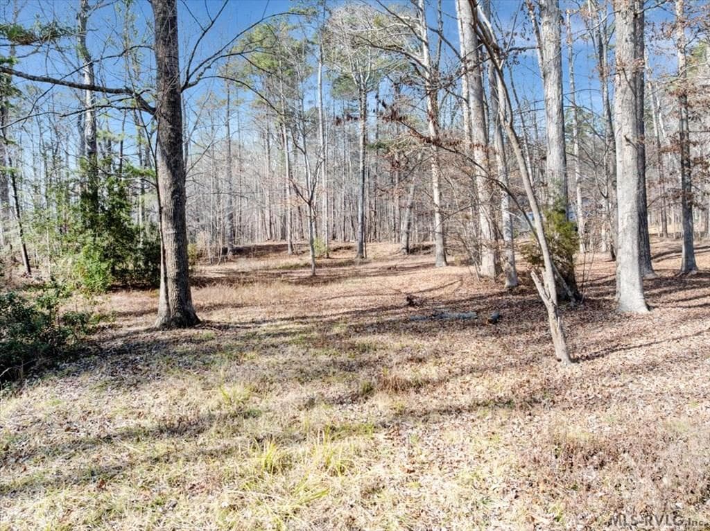 461/462 Greenbriar, Littleton NC 27850 photo 4