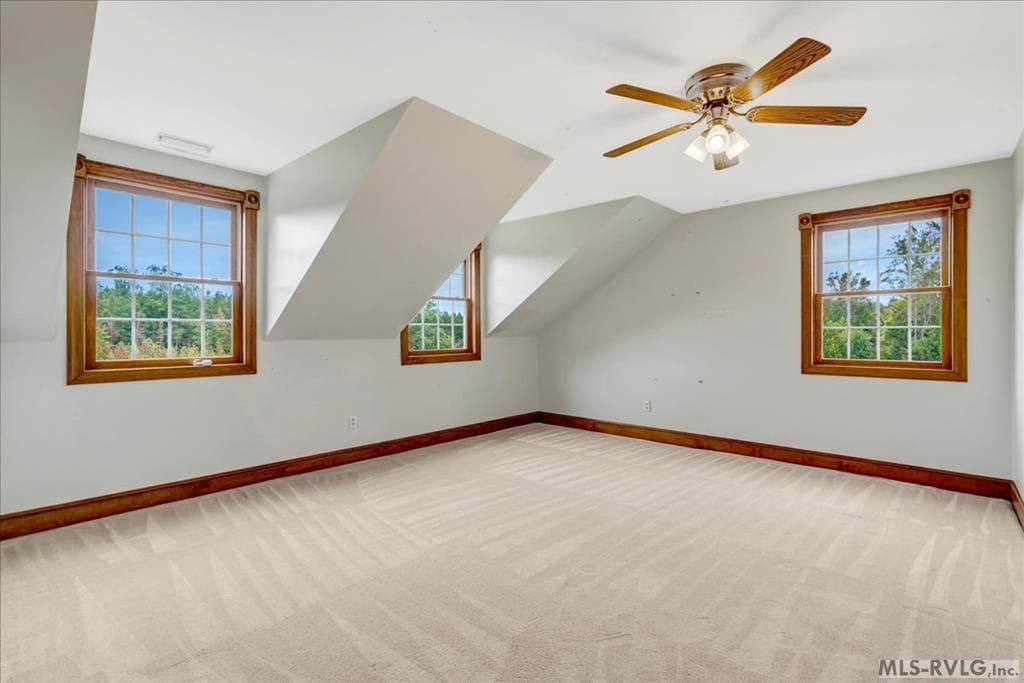 593 Stoney Cross Road, Chase City VA 23924 photo 54