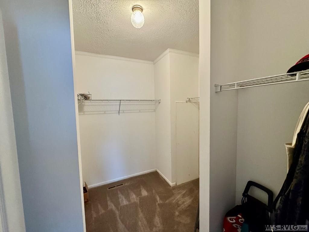 Primary Suite Walk-in Closet - 285 Brady Way, Clarksville VA 23927, Clarksville