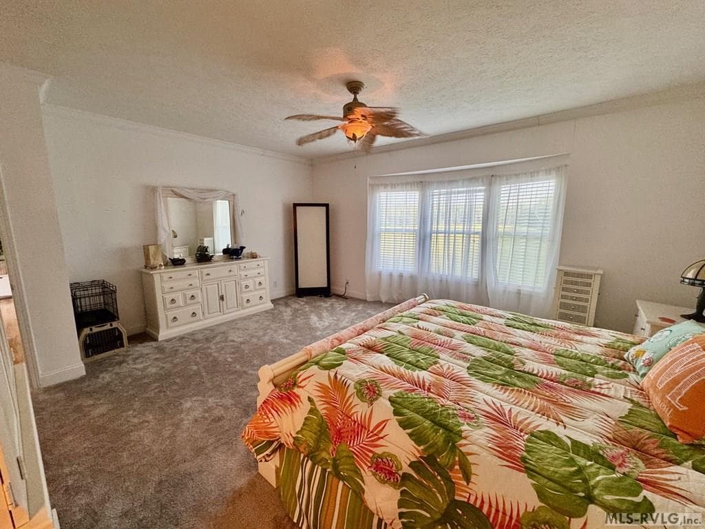 Primary Suite - 285 Brady Way, Clarksville VA 23927, Clarksville
