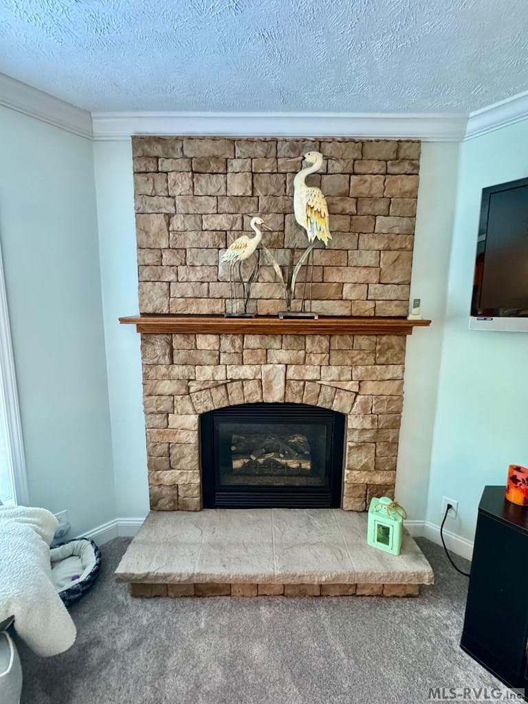 Family Room Detail - 285 Brady Way, Clarksville VA 23927, Clarksville