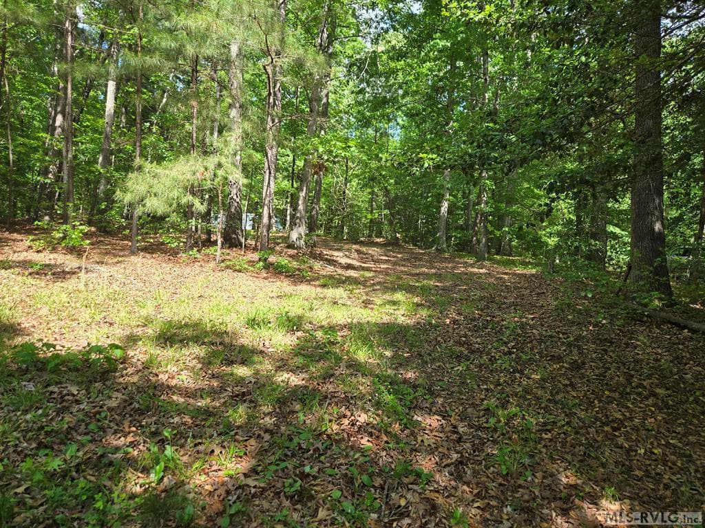 Residential Lot-Restricted,Single Wide Permitted,Double Wide Permitted,Modular On Frame Permitted,Unimproved Land at tbd Great Creek Drive, Bracey VA 23919, Bracey, photo 4 of 5