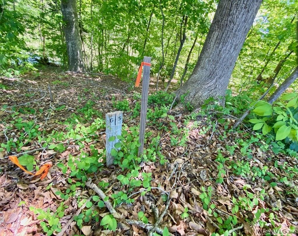 Left Rear Corner - Lot 5 Palomino Road, Buffalo Junction VA 24529, Buffalo Junction
