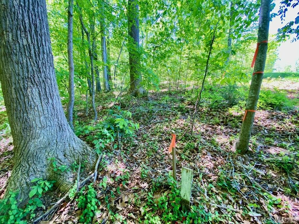 Right Front Corner - Lot 5 Palomino Road, Buffalo Junction VA 24529, Buffalo Junction